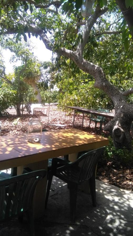 Casa Los Mangos Villa ติคาราเฟ ภายนอก รูปภาพ